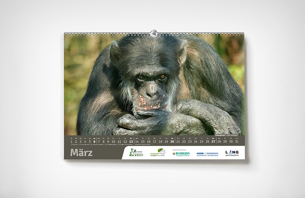 März – Karlsruher Zoo-Kalender 2022 