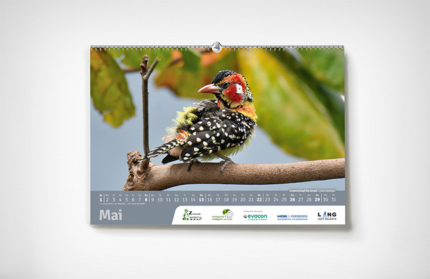 Mai – Karlsruher Zoo-Kalender 2022 