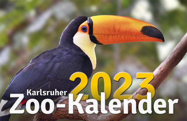 Ab sofort erhältlich: der neue Karlsruher Zoo-Kalender 2023!