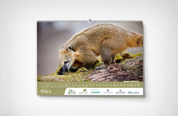 März – Karlsruher Zoo-Kalender 2024 