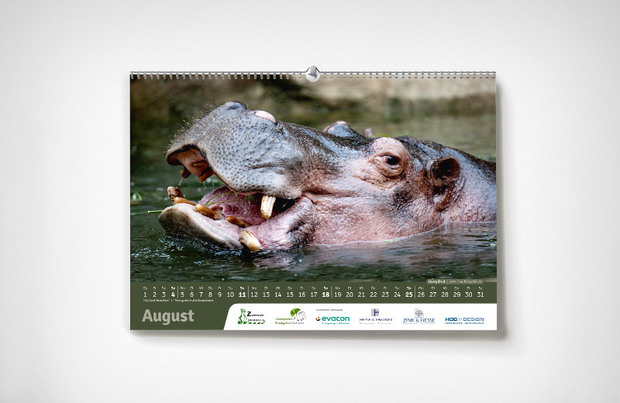 August – Karlsruher Zoo-Kalender 2024 