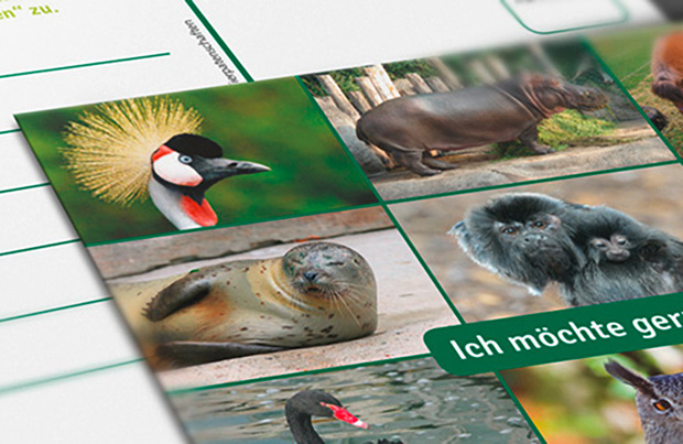 Neue Informationsmittel für die Tierpatenschaften des Zoologischen Stadtgarten Karlsruhe