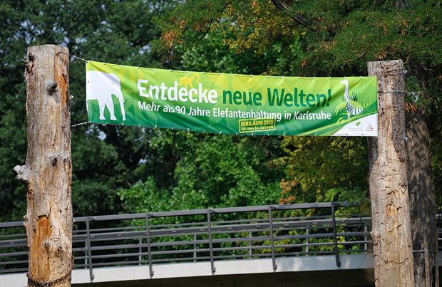 Banner „Entdecke neue Welten!“  