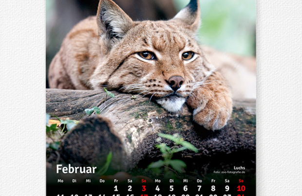 Kalender Zoofreunde 2019 