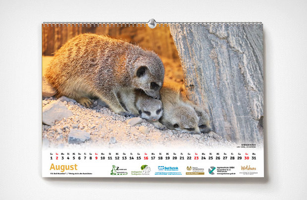 Karlsruer Zoo-Kalender 2020 