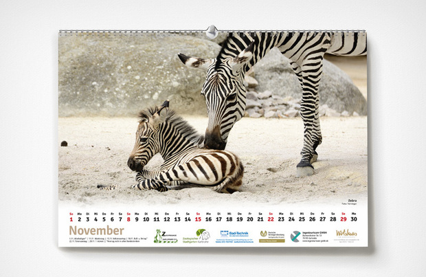 Karlsruer Zoo-Kalender 2020 