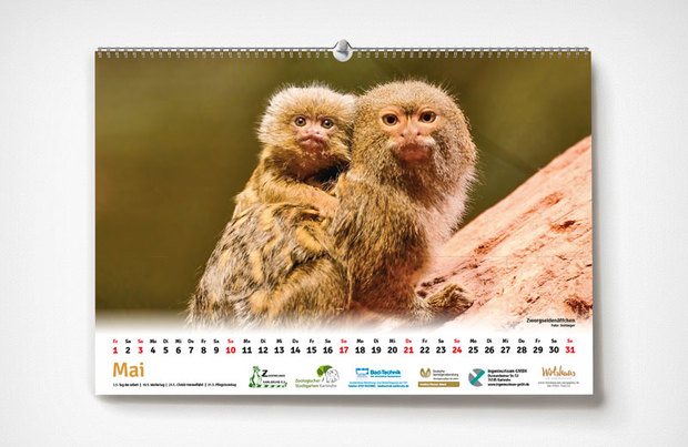 Karlsruer Zoo-Kalender 2020 