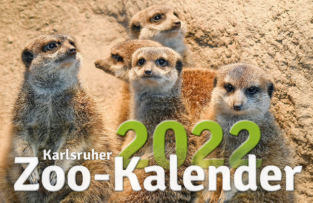 Der neue Karlsruher Zoo-Kalender 2022 ist da!