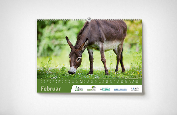 Februar – Karlsruher Zoo-Kalender 2022 