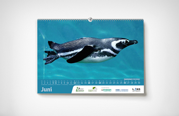 Juni – Karlsruher Zoo-Kalender 2022 