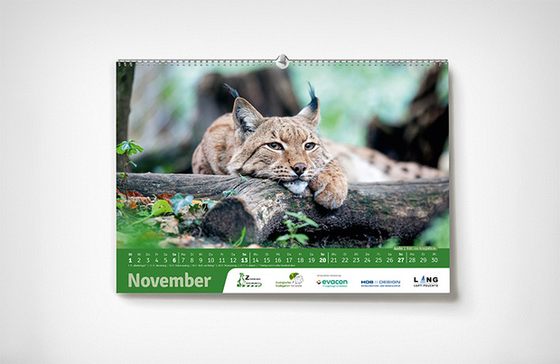 November – Karlsruher Zoo-Kalender 2022 