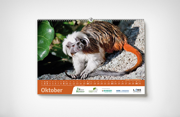 Oktober – Karlsruher Zoo-Kalender 2022 