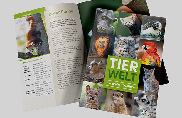 TIERWELT – Broschüre über Karlsruher Zootiere