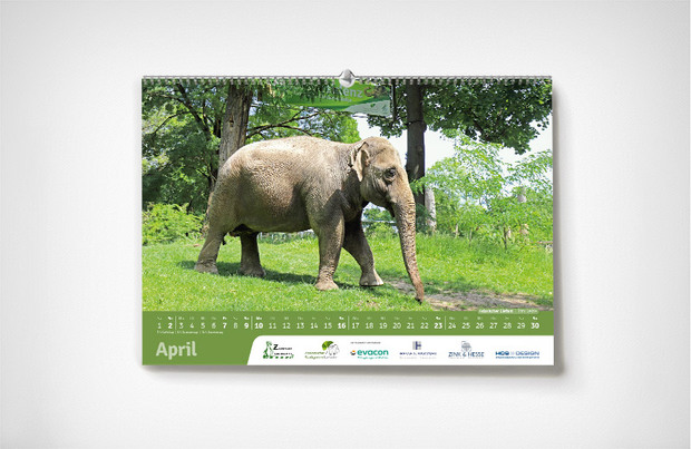 Karlsruher Zoo-Kalender 2023 