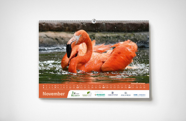 Karlsruher Zoo-Kalender 2023 