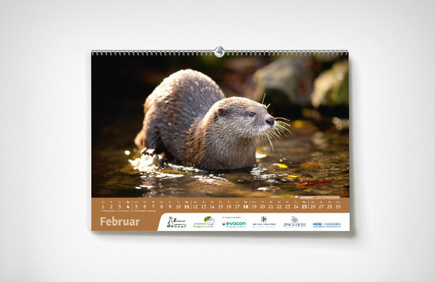 Februar – Karlsruher Zoo-Kalender 2024 