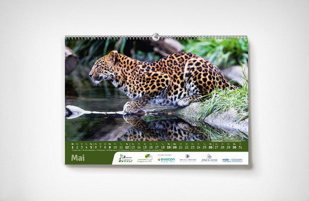 Mai – Karlsruher Zoo-Kalender 2024 