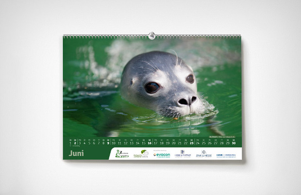 Juni – Karlsruher Zoo-Kalender 2024 