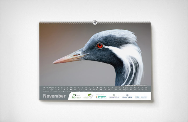 November – Karlsruher Zoo-Kalender 2024 