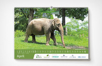 Karlsruher Zookalender 2023 