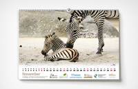 Karlsruher Zookalender 2020 